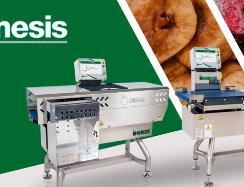 Nemesis: Innovación y Calidad Italiana para tu Negocio